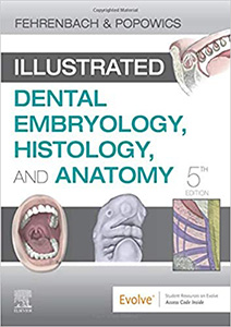 Illustrated Dental Embryology, Histology, and Anatomy-5판