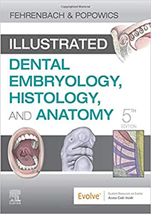 Illustrated Dental Embryology Histology and Anatomy-5판