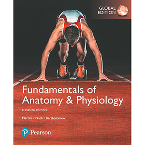 Fundamentals of Anatomy and Physiology-11판