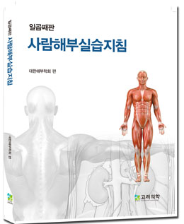 사람해부실습지침 7판