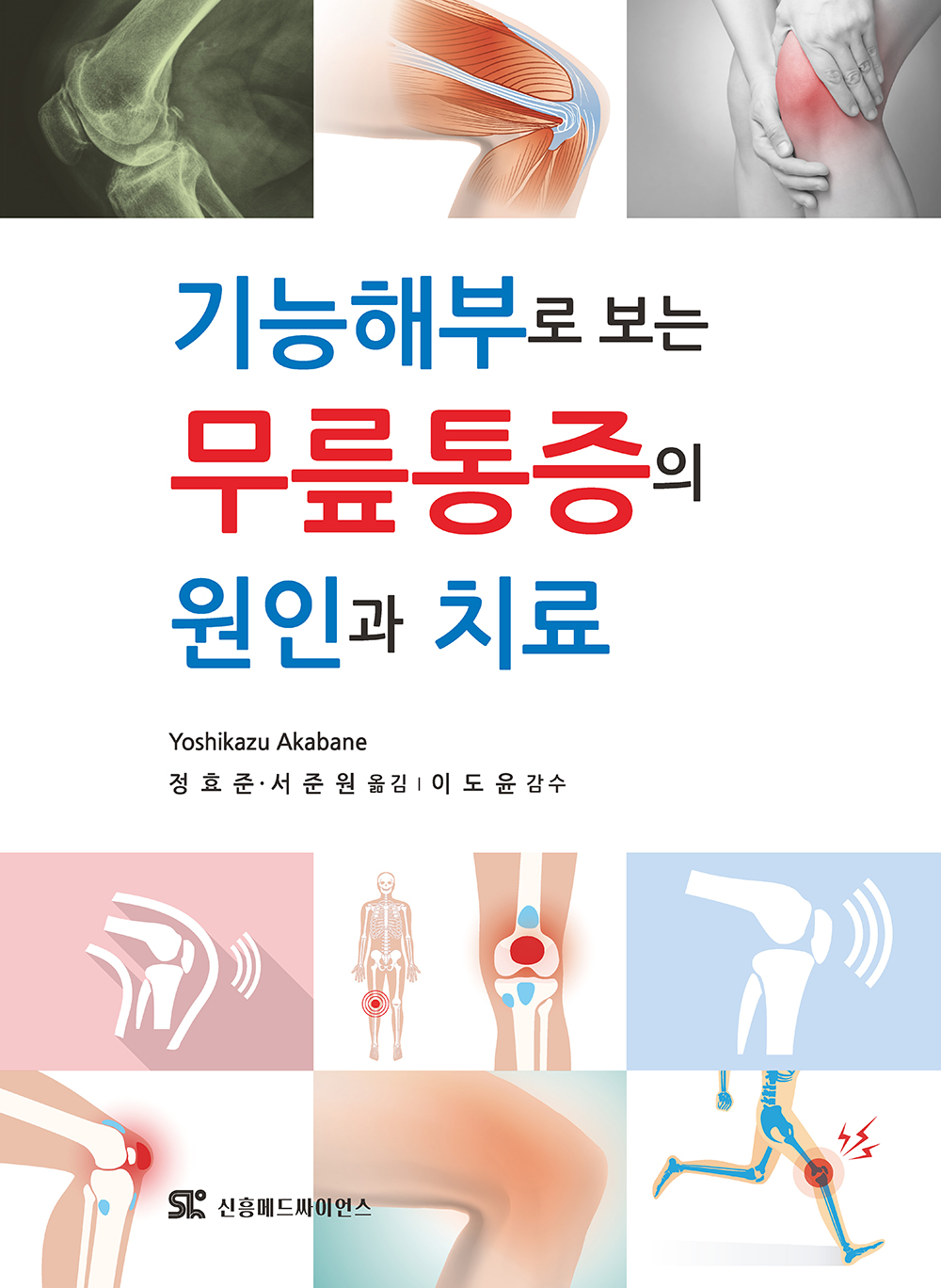 기능해부로 보는 무릎통증의  원인과 치료
