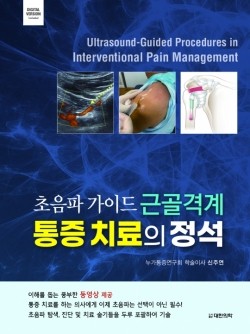 초음파가이드 근골격계통증치료의 정석