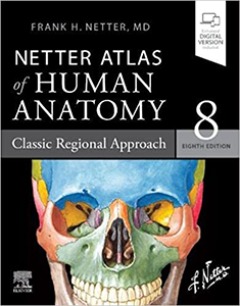 Netter Atlas of Human Anatomy: Classic Regional Approach-8판