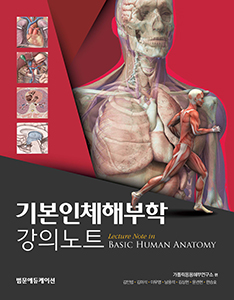 기본인체해부학강의노트-간호 보건대생 실습을 위한