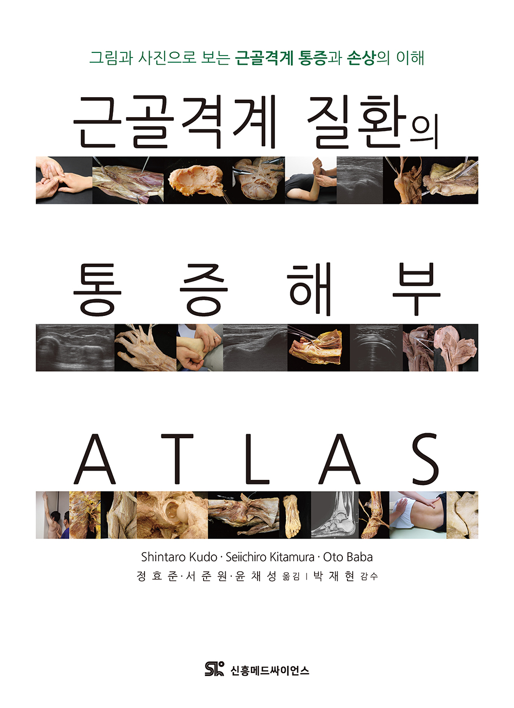 근골격계질환의 통증해부 ATLAS