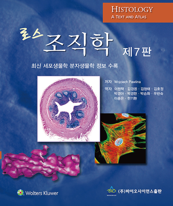 로스 조직학-7판