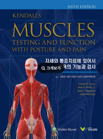 자세와 통증치료에 있어서 근육의 기능과 검사