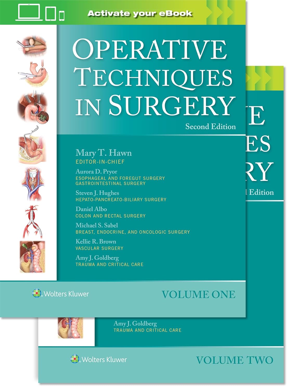 Operative Techniques in Surgery-2판
