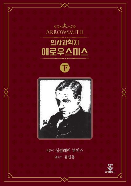 의사과학자 애로우스미스 - 하권