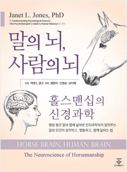 말의 뇌, 사람의 뇌