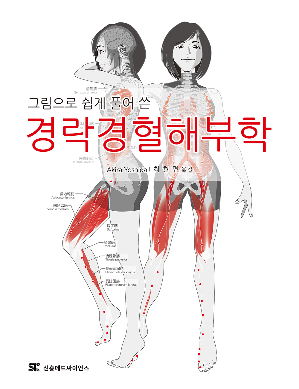 경락경혈해부학
