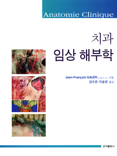 치과임상해부학 (Anatomie Clinique)