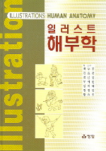 일러스트 해부학