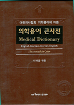 의학용어 큰사전