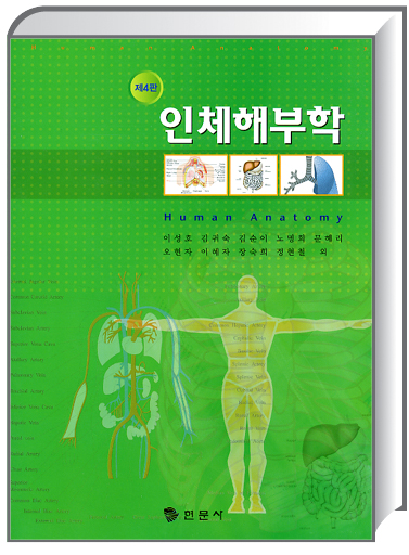 인체해부학(4판)